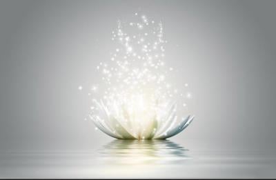 Reiki for Pets, Mobile Reiki, Reiki Master, Healing Pets, Healing Energy for Pets, Toronto Reiki, Etobicoke Reiki, Mississauga Reiki, Oakville Reiki, Brampton Reiki, Richmond Hill Reiki, Vaughan Reiki, North York Reiki, Downsview Reiki, Scarborough Reiki, Chakra Clearing, Chakra Balancing, Chakras and Animals, Chakra balancing for Pets,